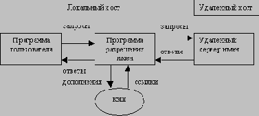     DNS