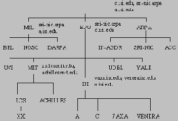    DNS